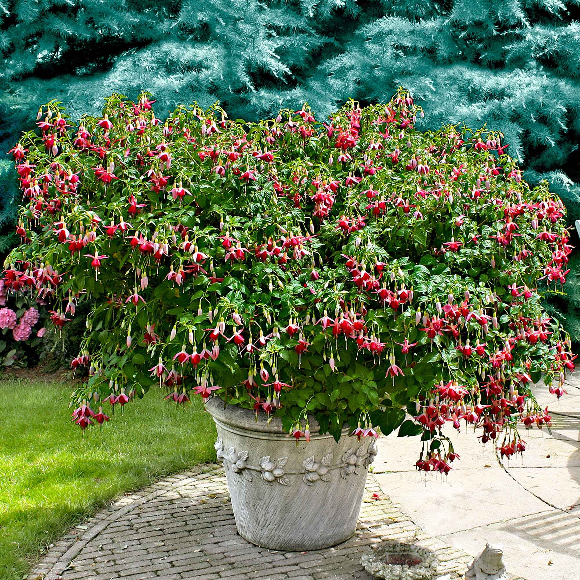 Miniatuur 2