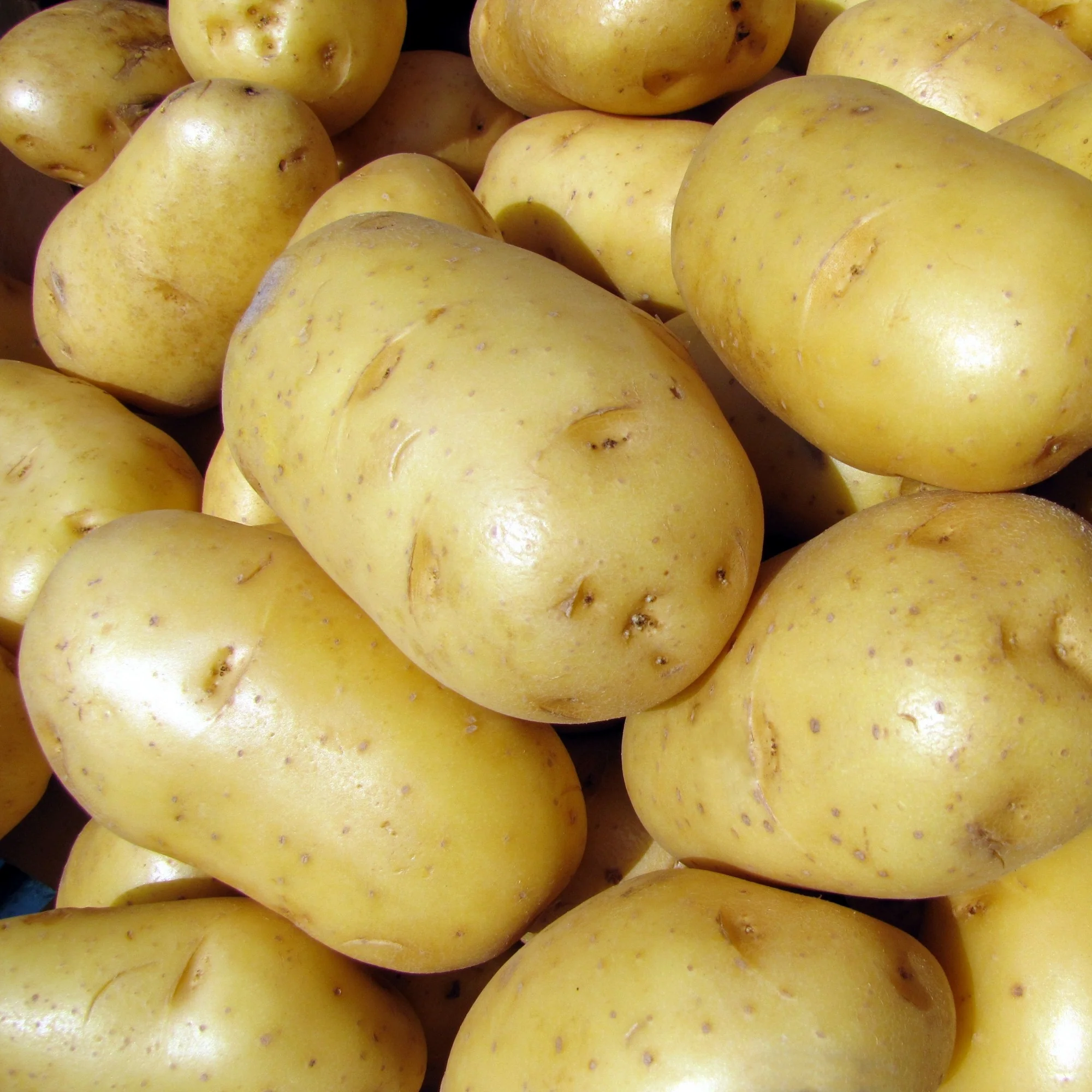 Miniatuur 2