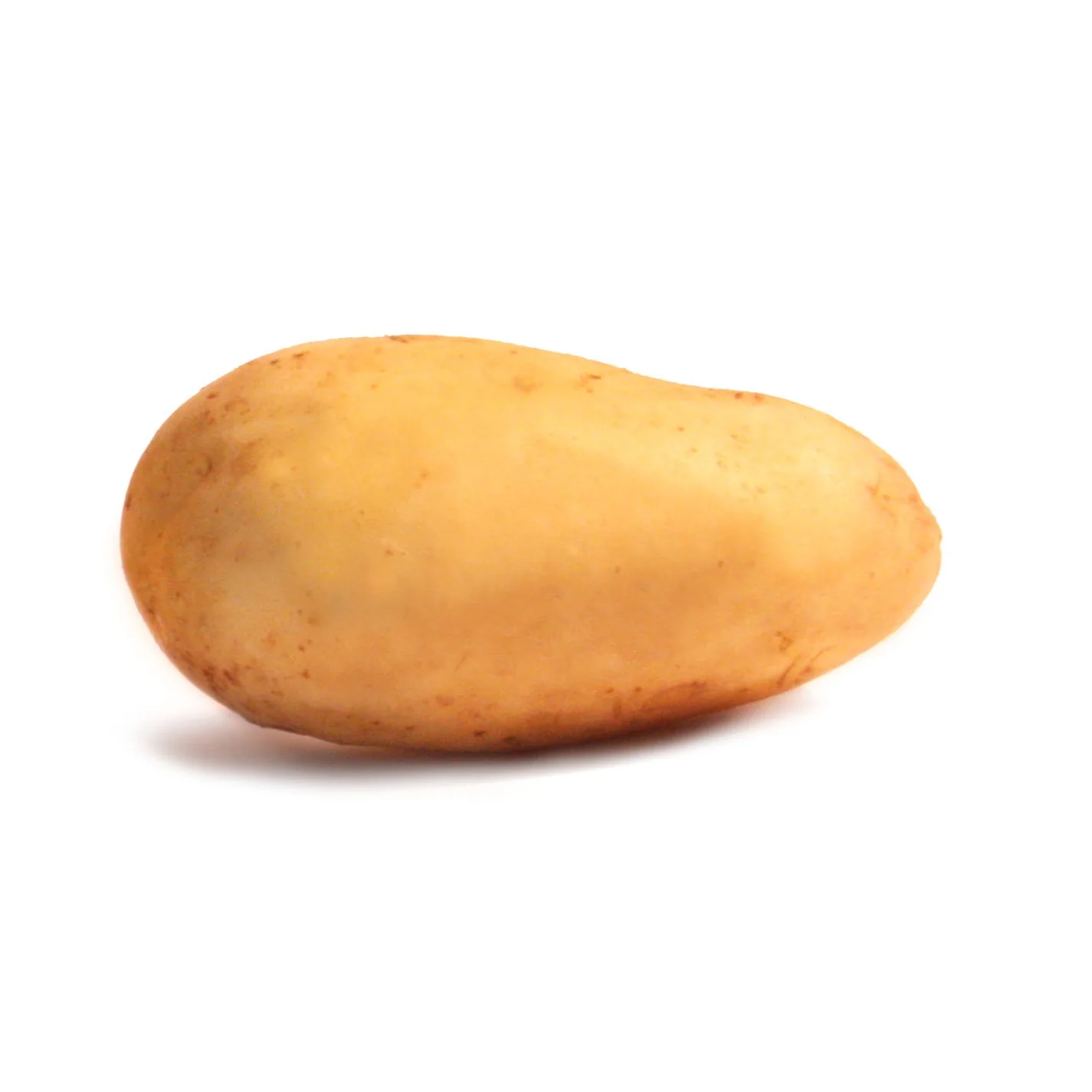 Aardappel 'Blanche' - BIO (x25) - Image 2