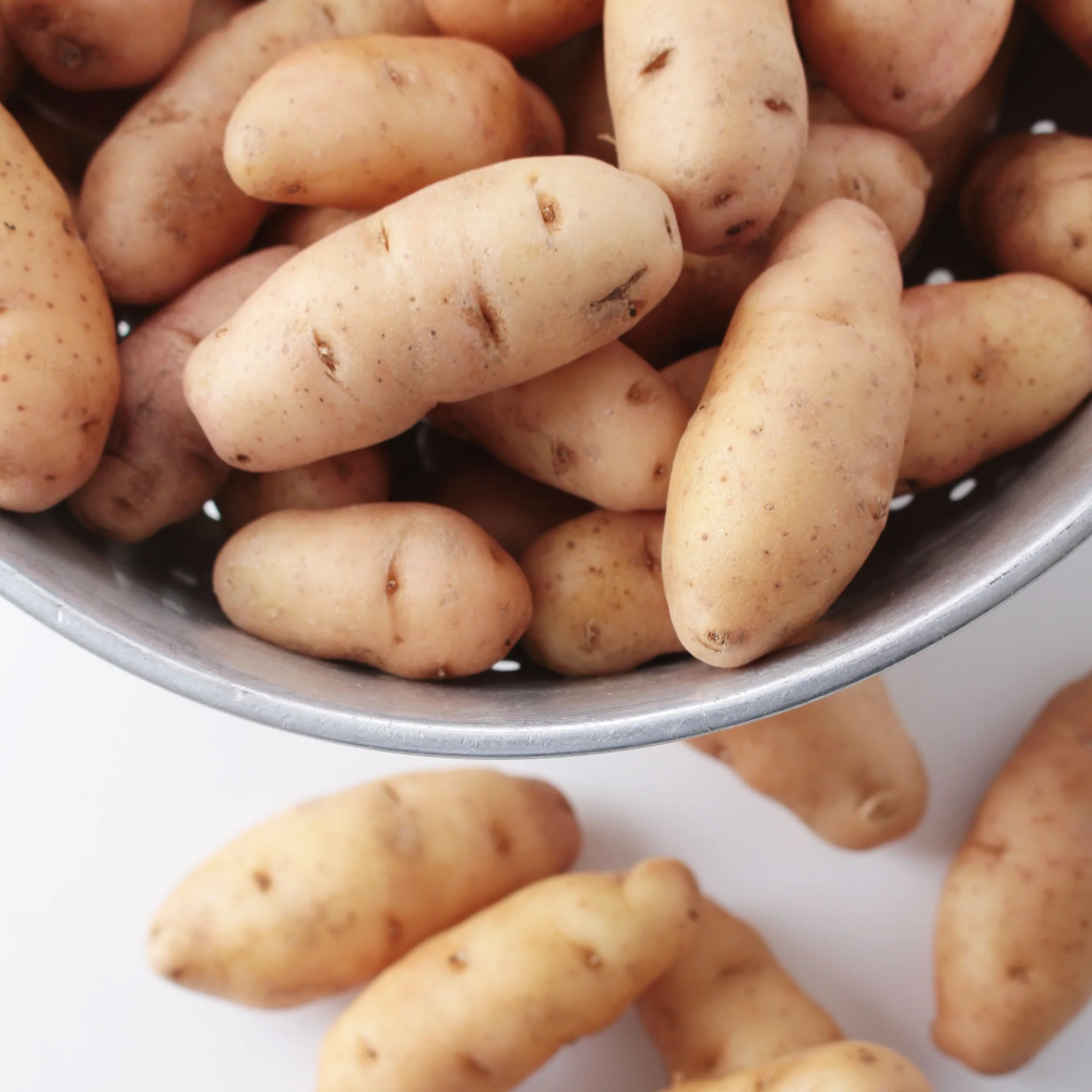 Aardappel 'Corne de Gatte' (x25) - Image 2