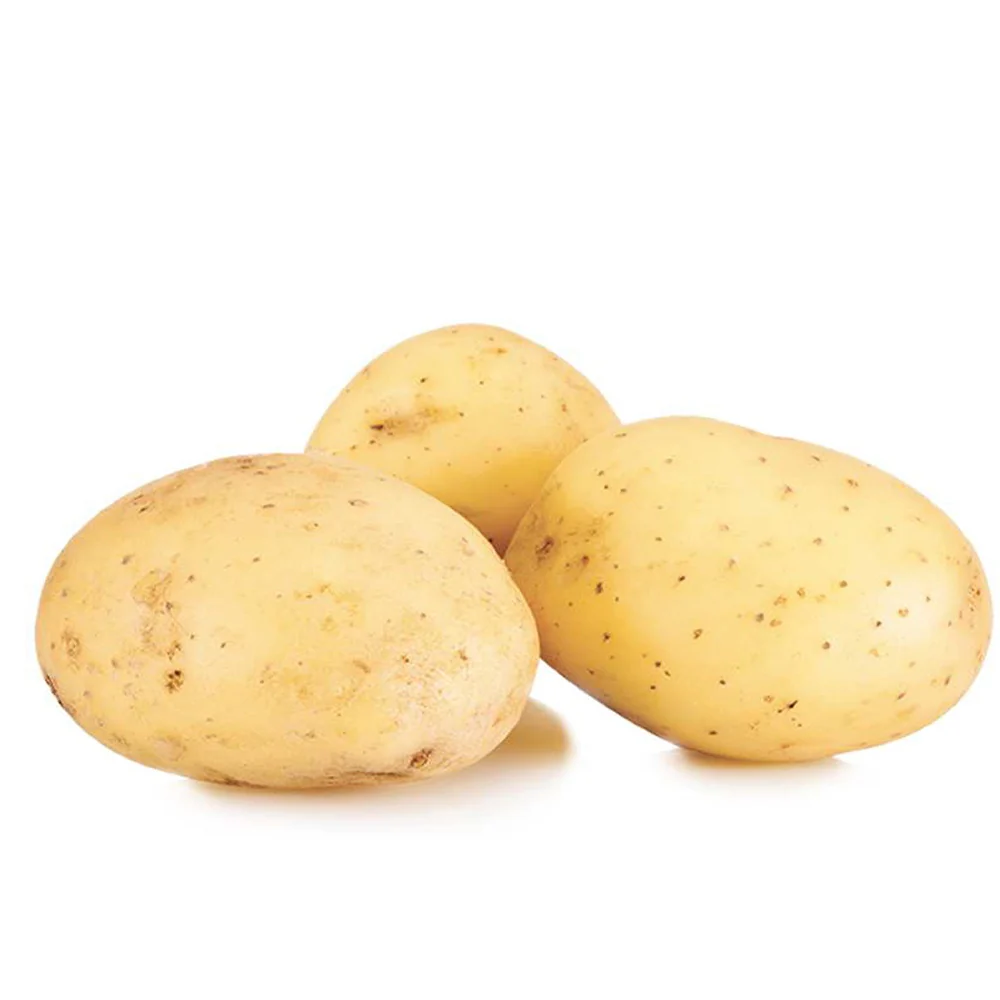 Aardappel 'Etincelle' (x25) - Image 2