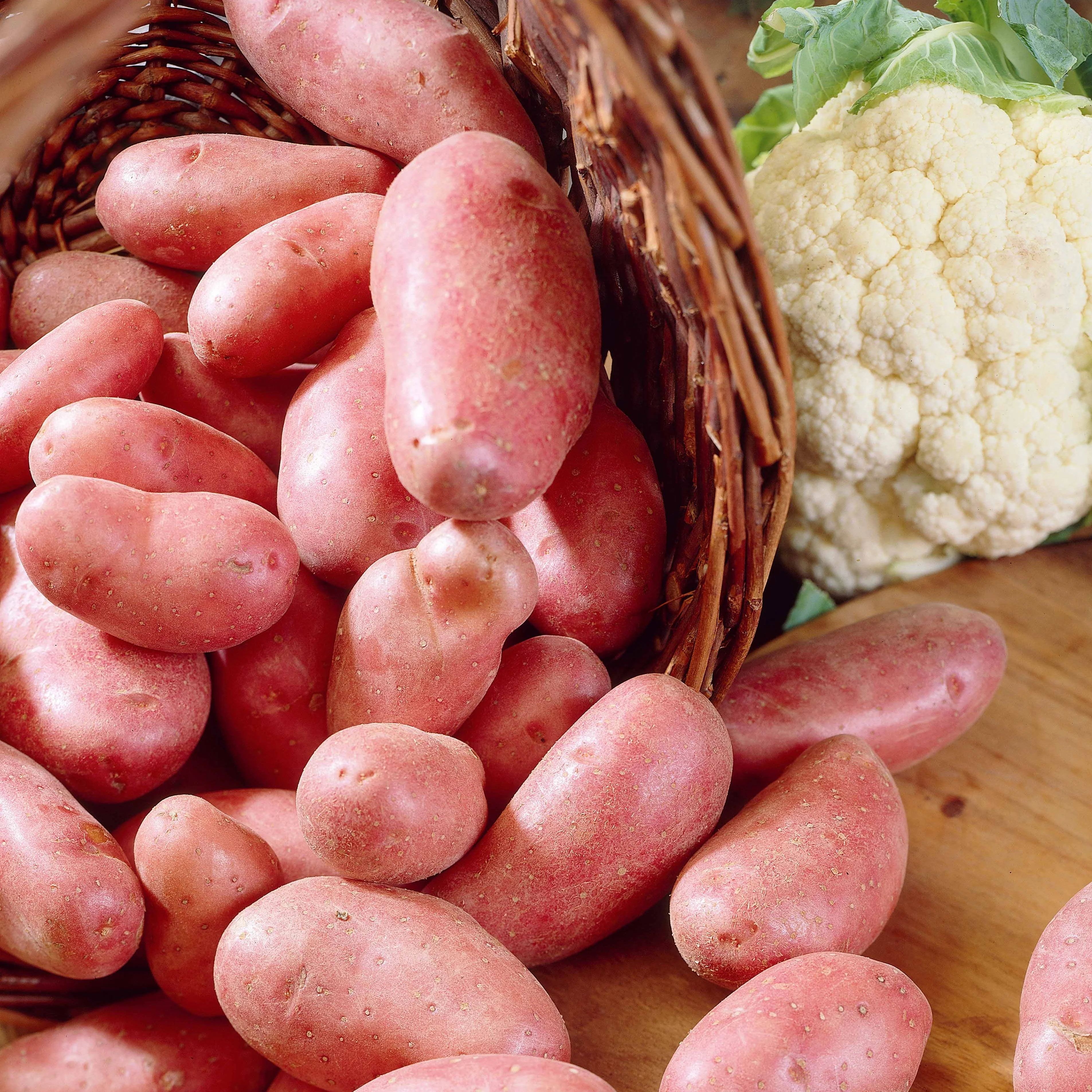 Aardappel 'Jeanette' (x25)