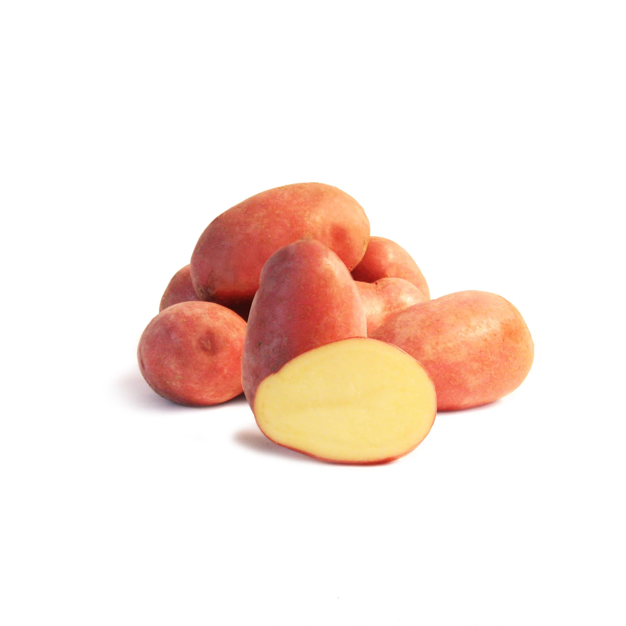 Aardappel 'Rose de France' - Image 4