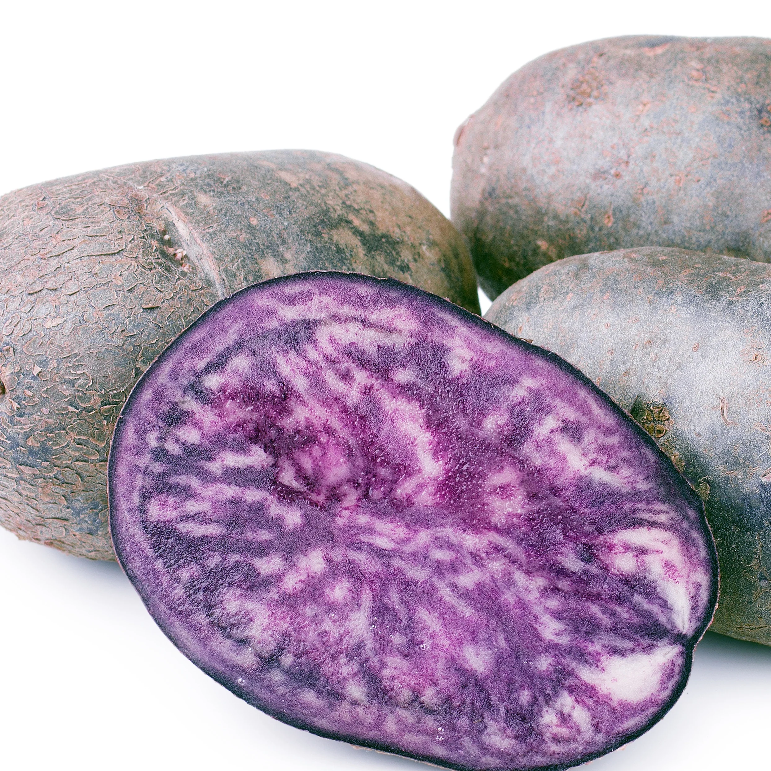 Aardappel 'Ulysse' - BIO - Image 3