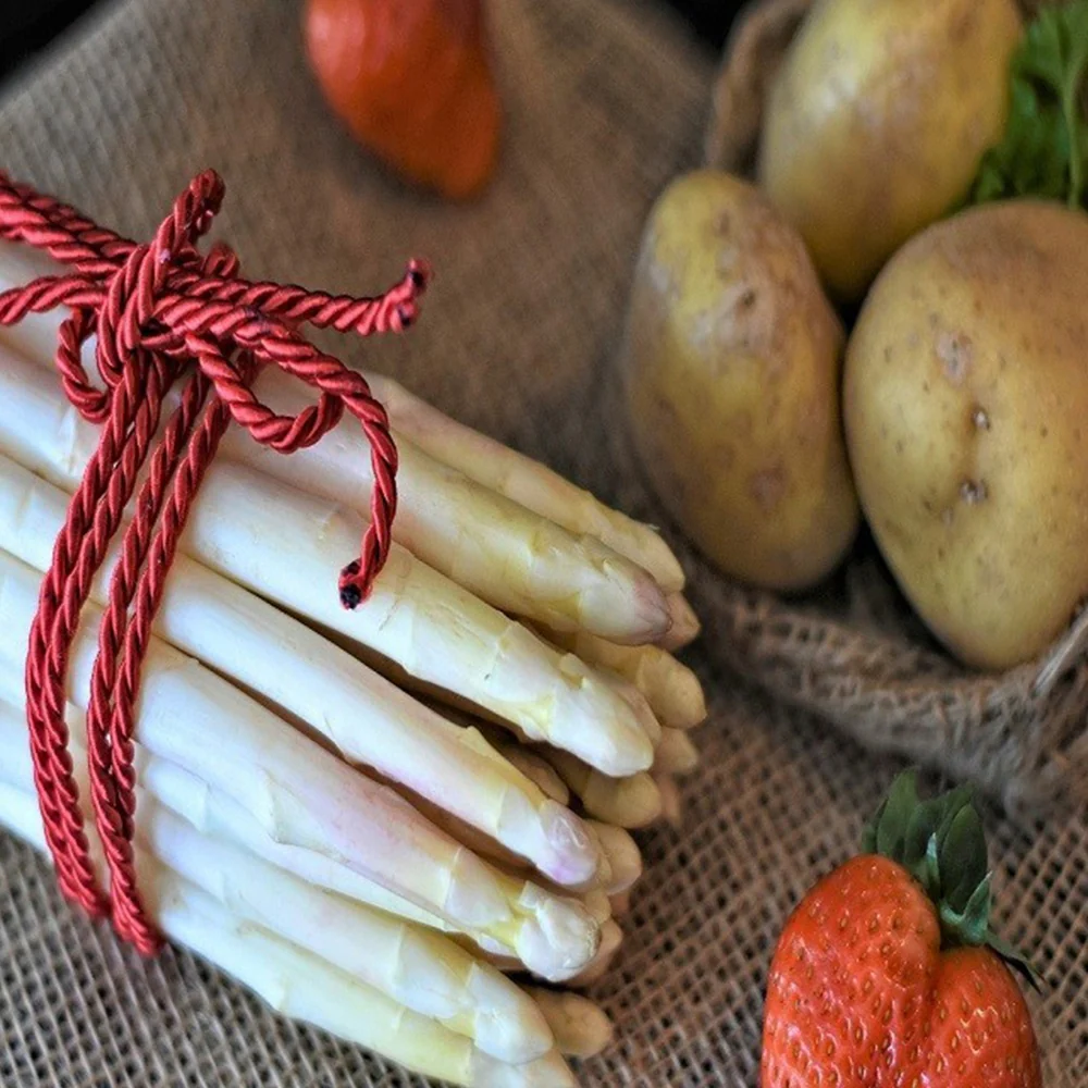 Asperge 'Argenteuil' (x10) - Image 4