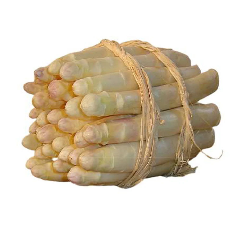 Asperge 'Argenteuil' (x10) - Image 5