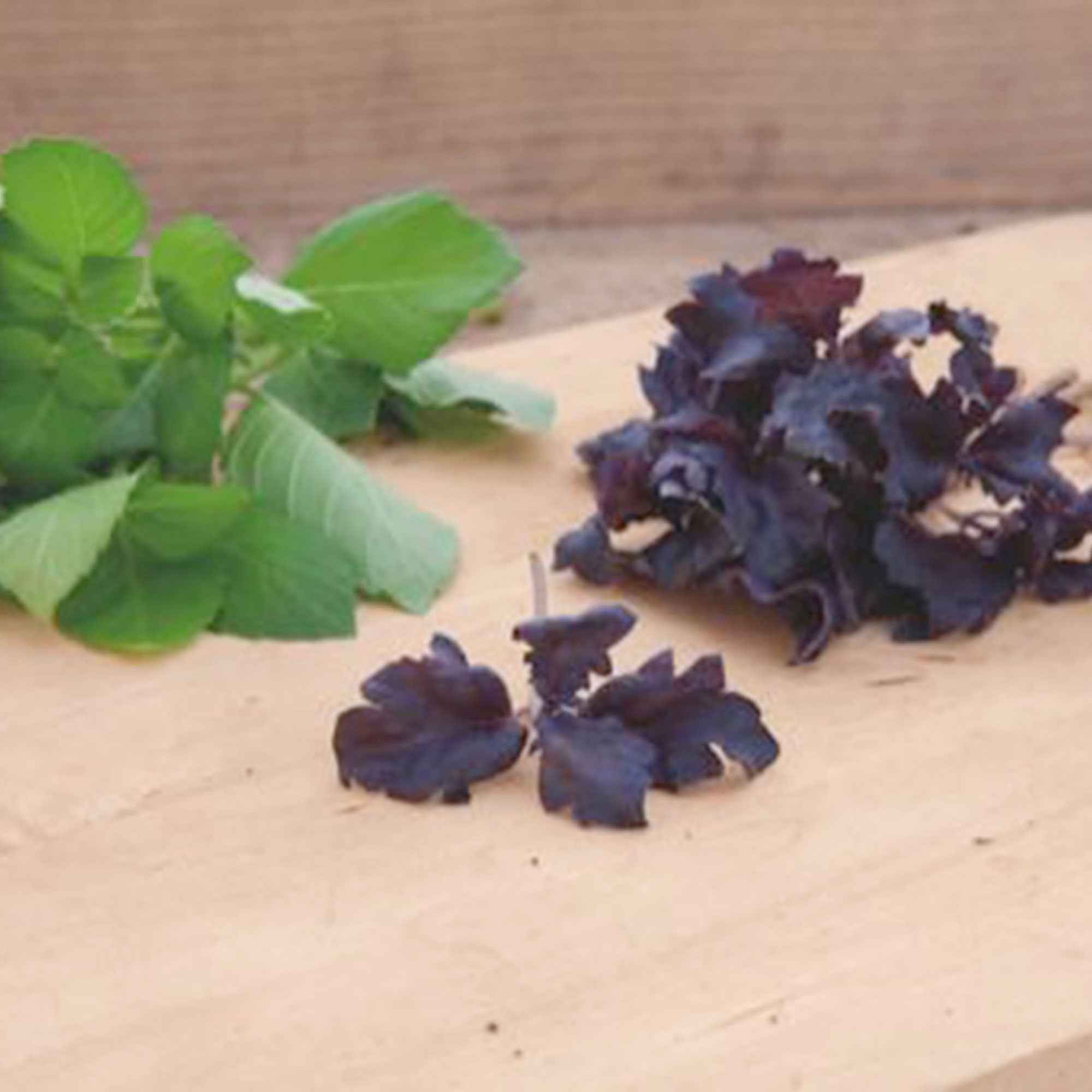 Basilicum 'Purple Ruffles'