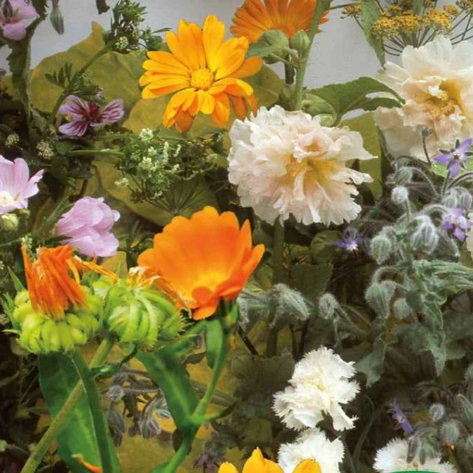 Bloemen en eetbare kruidenmix