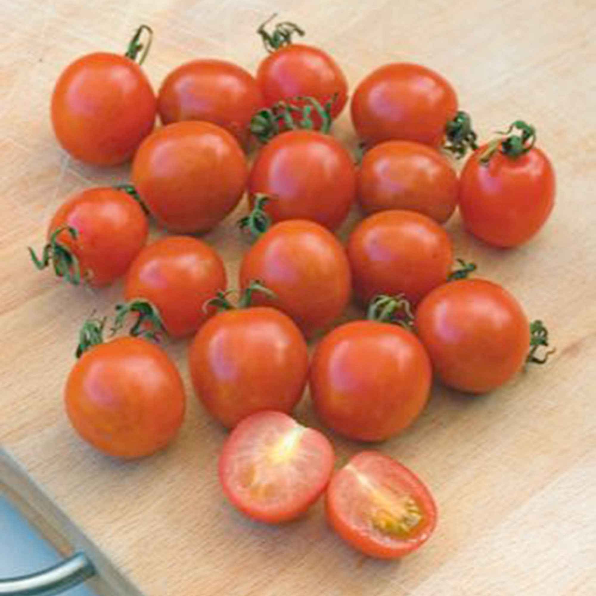 Miniatuur 2