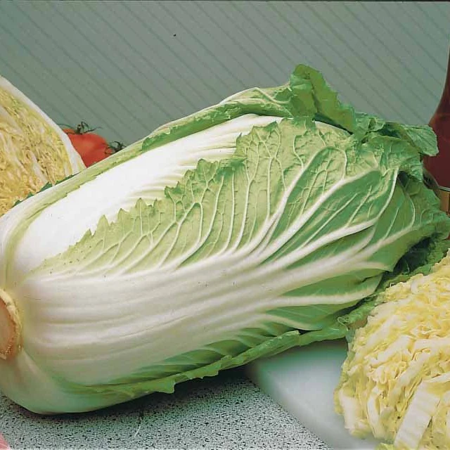 Chinese kool 'Pe-Tsai' - Image 3