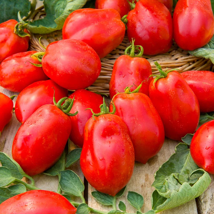 Collectie tomaten - Image 2