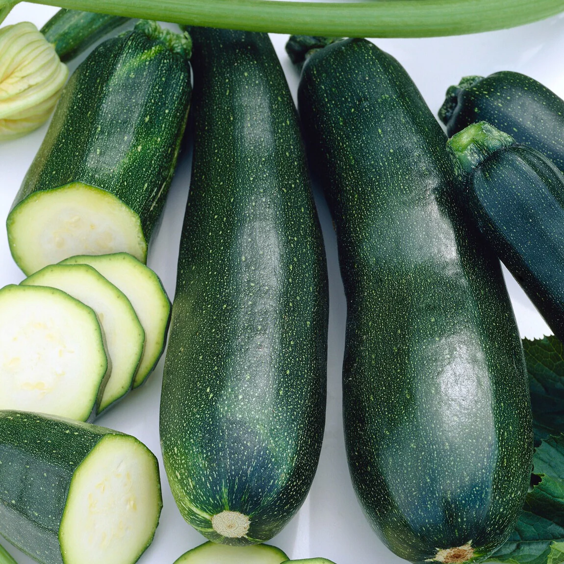 Courgette 'Black Beauty'