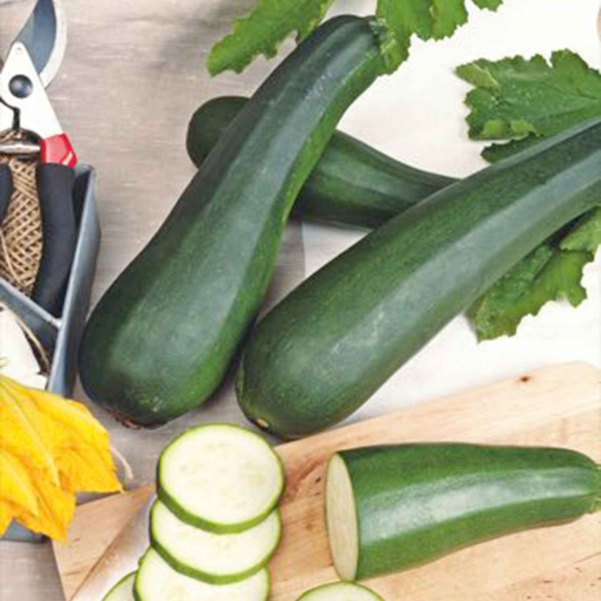 Courgette 'Partenon F1'