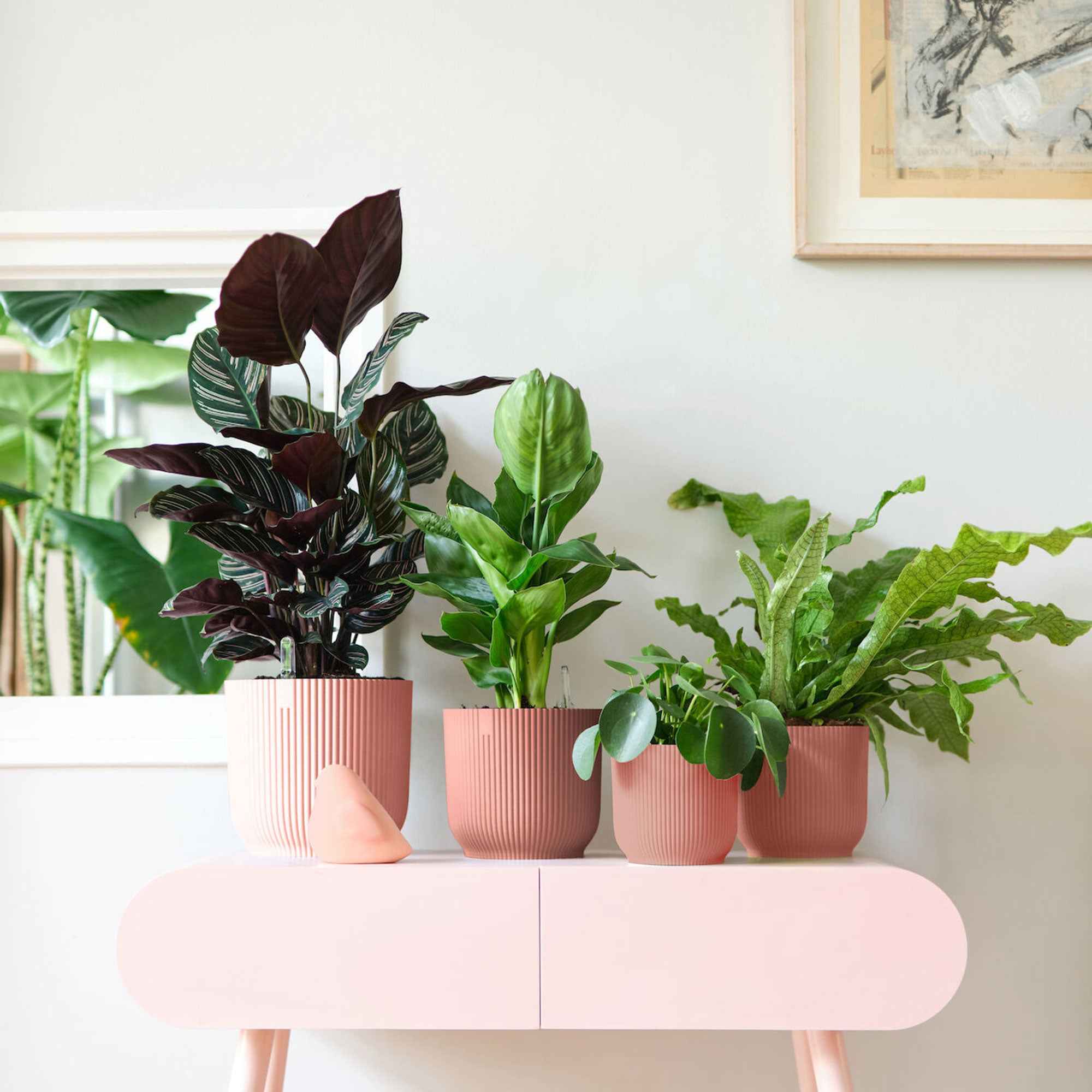Bloempot Elho vibes fold rose