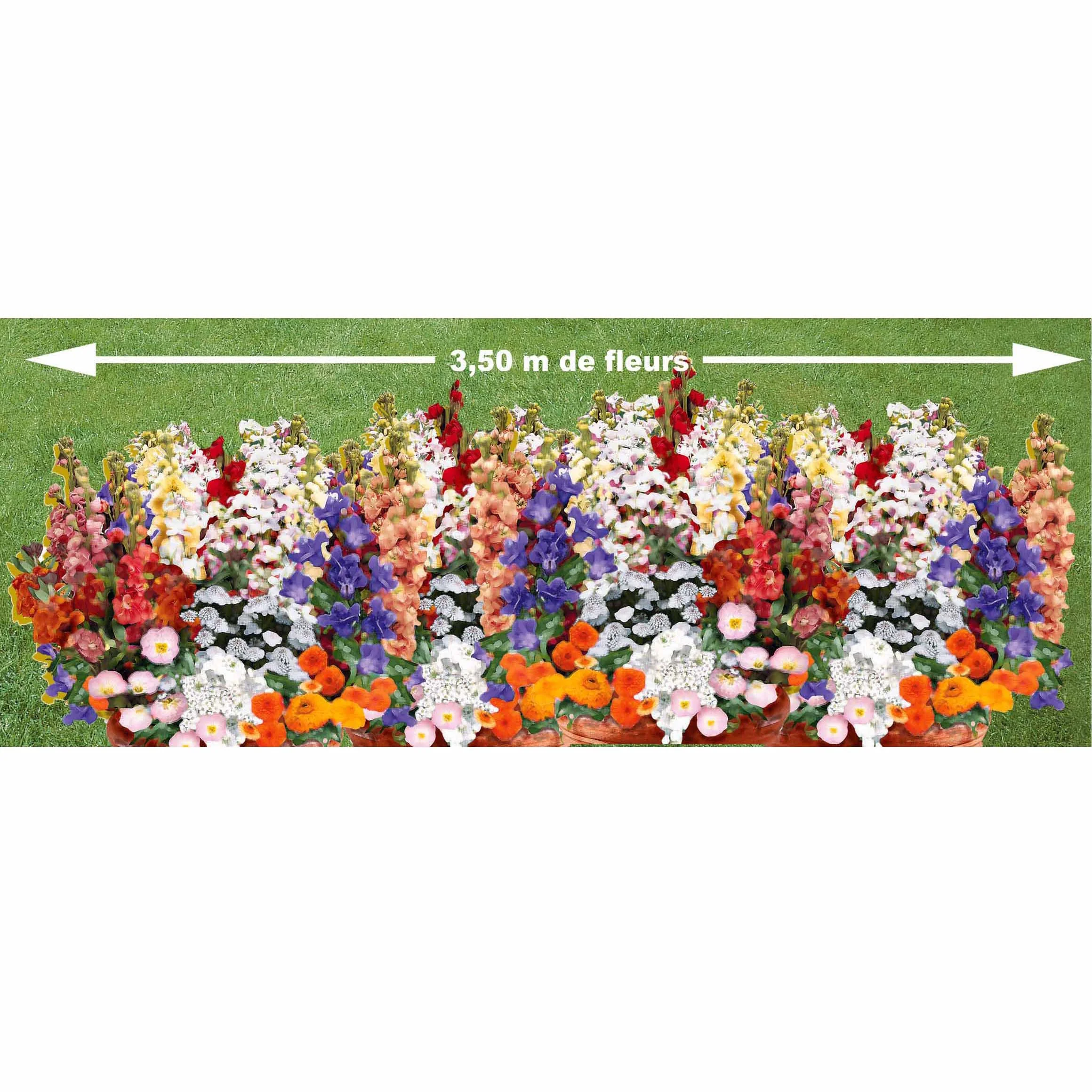 Geurig bloementapijt Mix