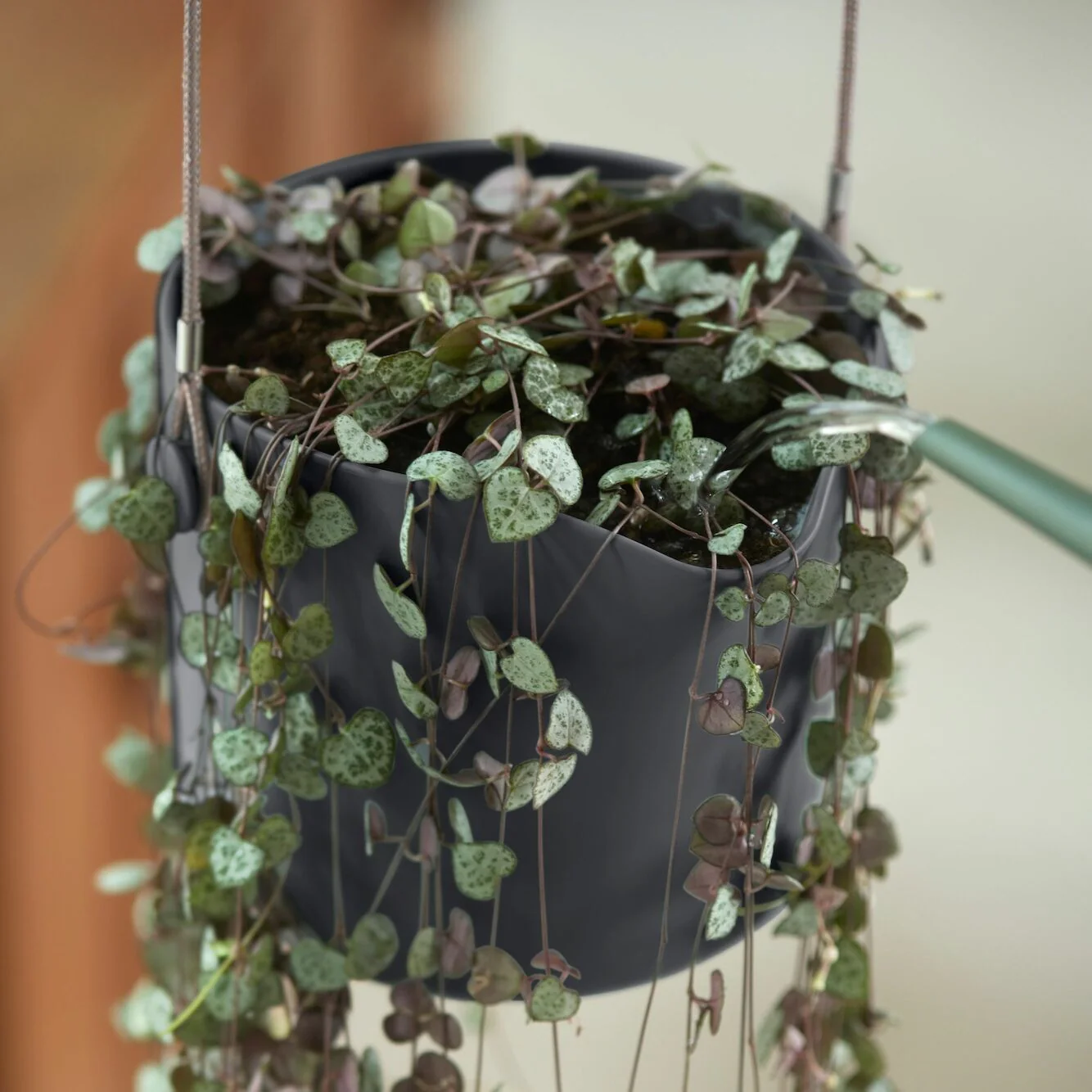 Hangpot B voor swing grijs ELHO - Image 5