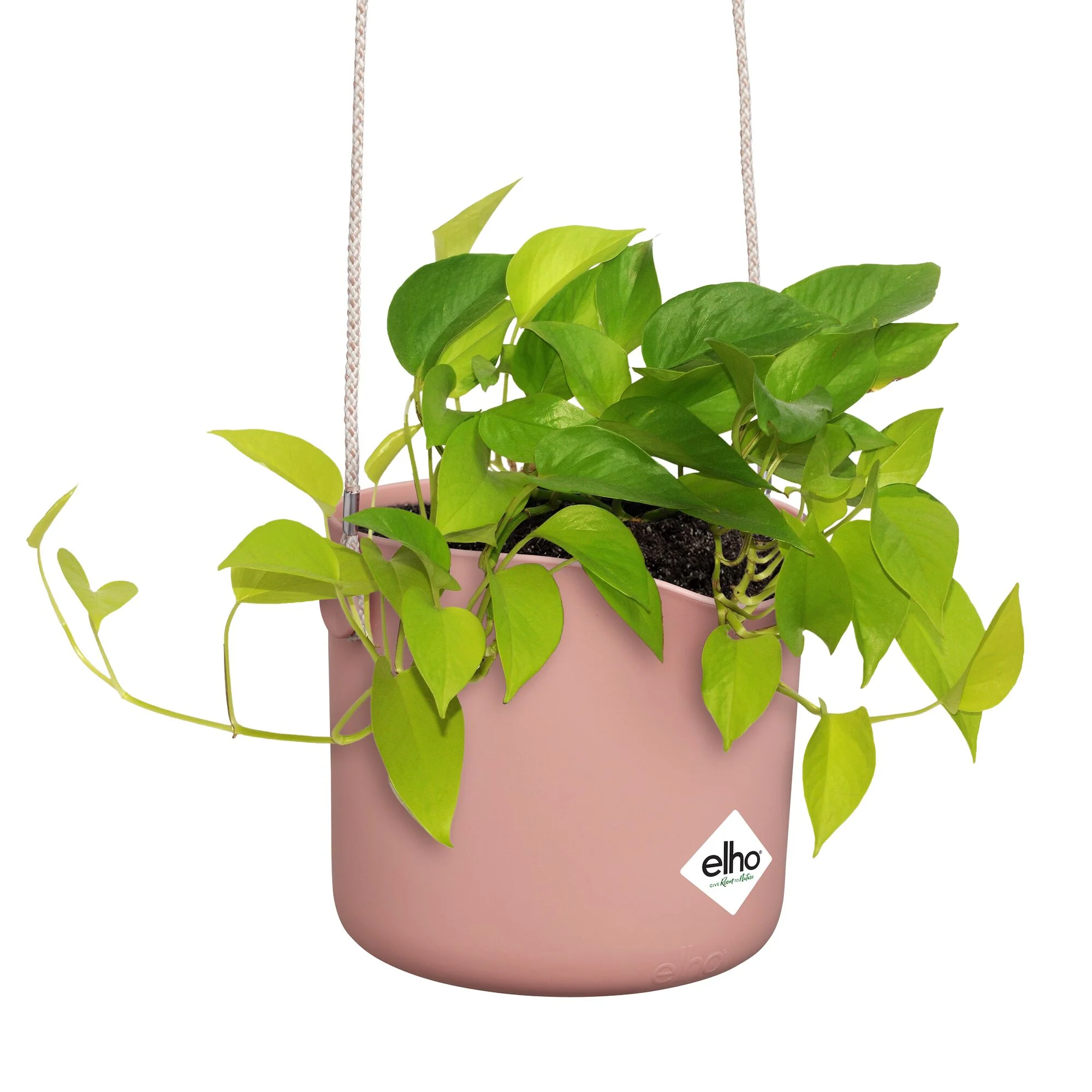 Hangpot B voor swing roze ELHO - Image 5