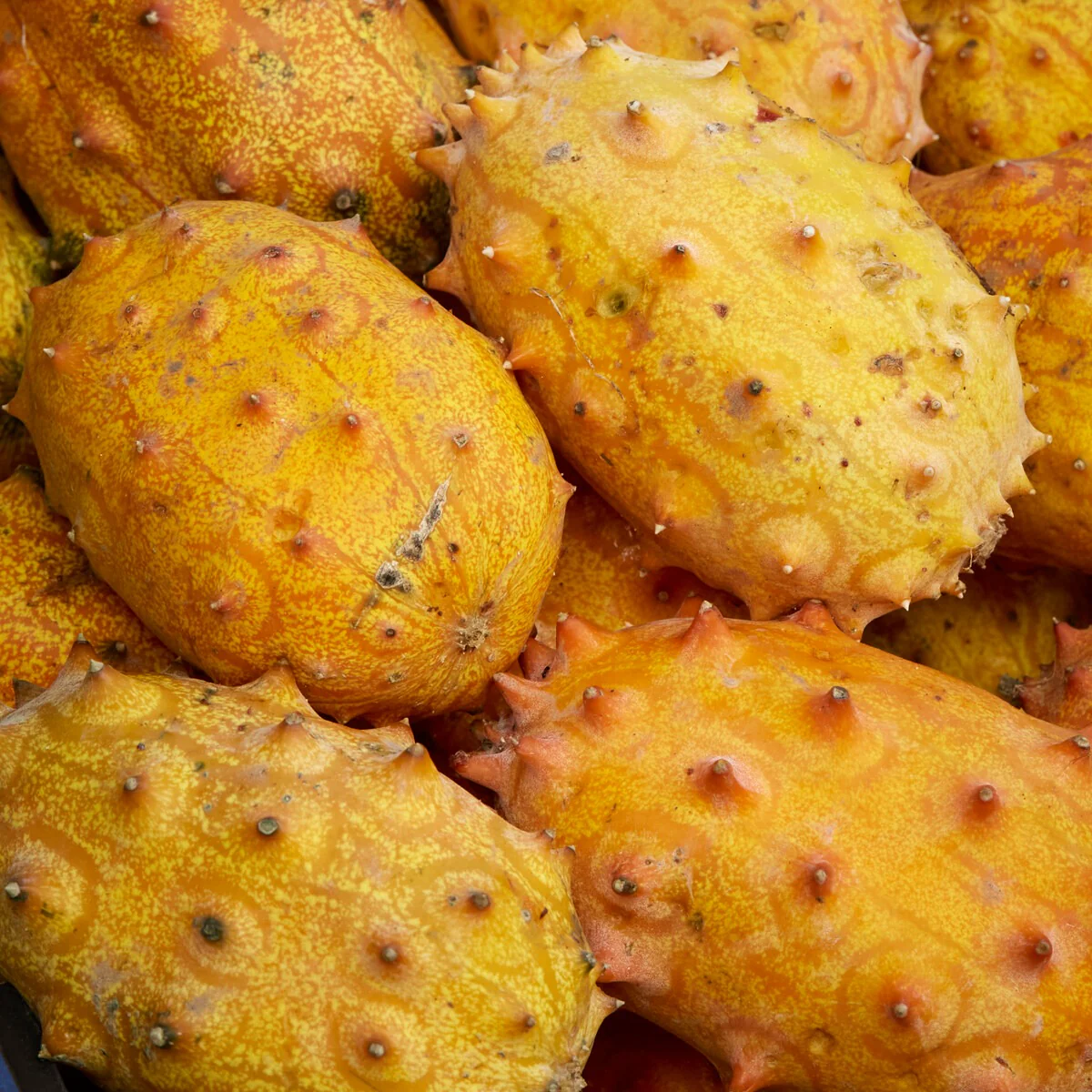 Kiwano - Image 2