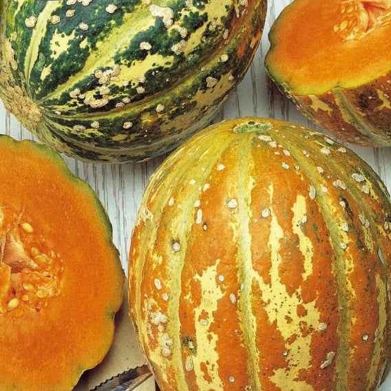 Meloen 'Oranje Ananas' - Image 3