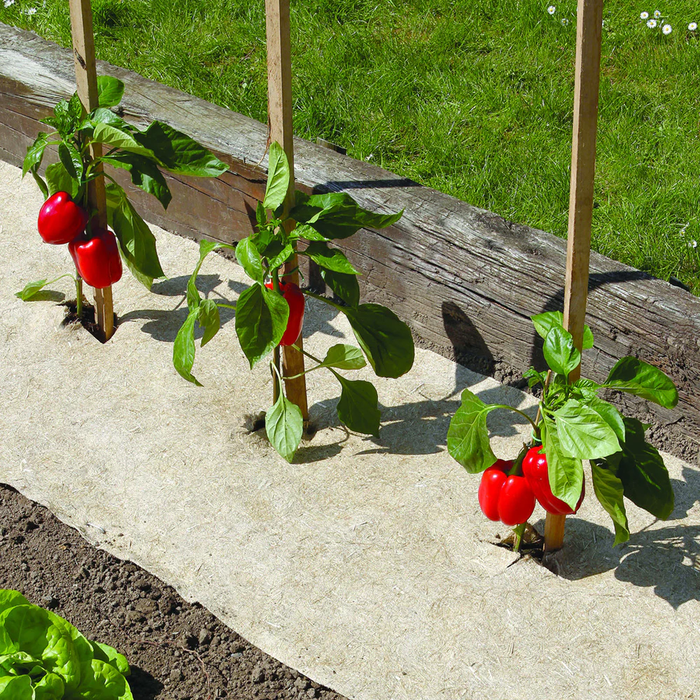 Natuurlijke biologisch afbreekbare mulch Chanvrelin