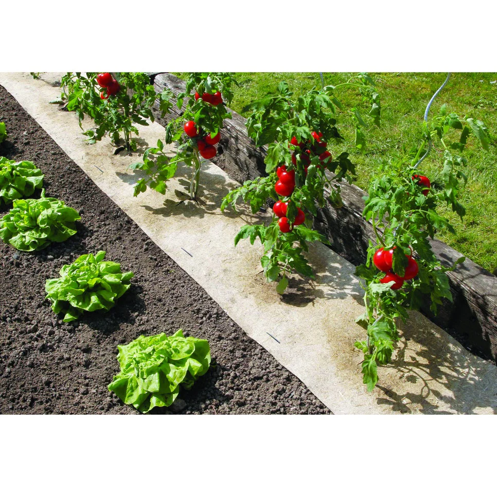 Natuurlijke biologisch afbreekbare mulch Chanvrelin - Image 2