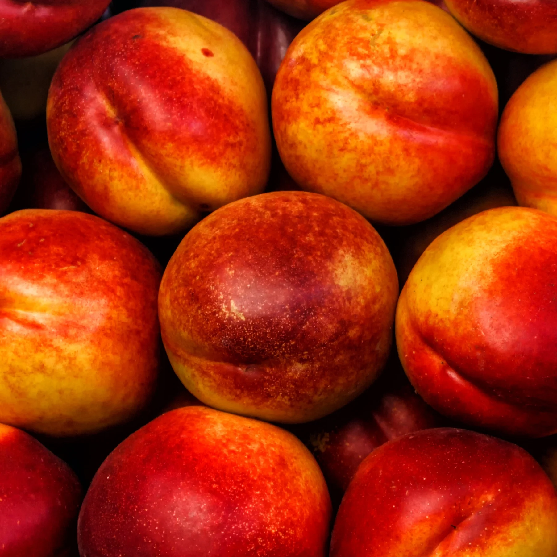 Nectarine 'Flavor'
