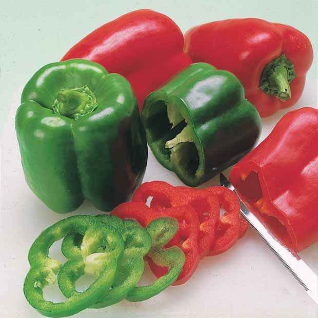Paprika 'Lamuyo'