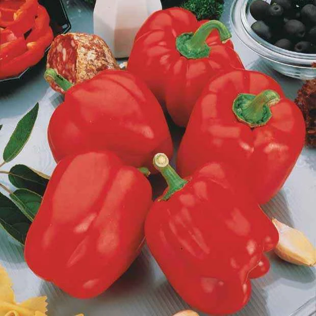 Paprika 'Lamuyo' - Image 3