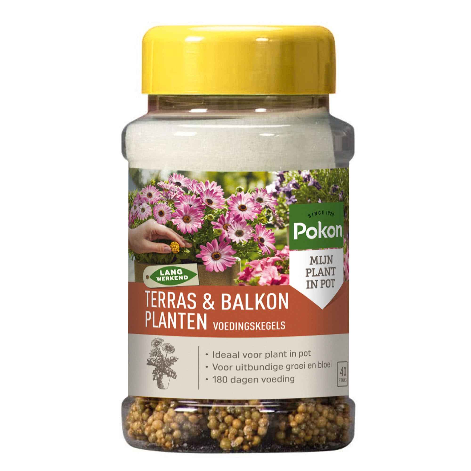 Voedingskegels terras & balkonplanten - Pokon