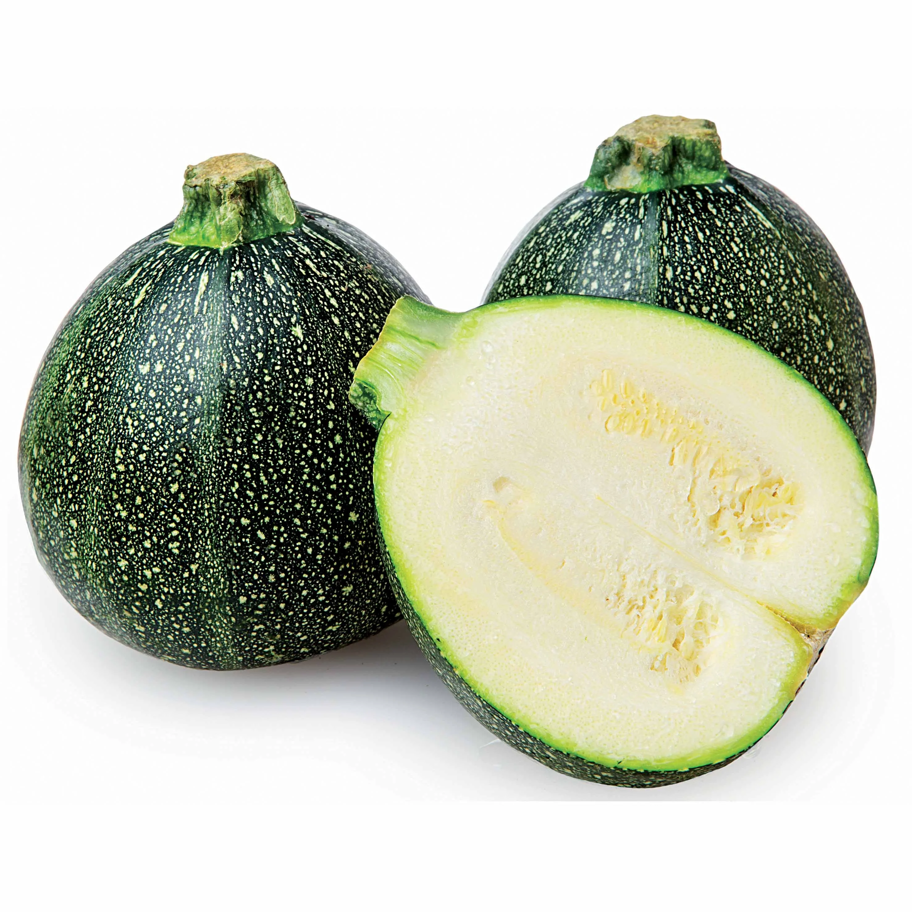 Ronde courgette - Image 3