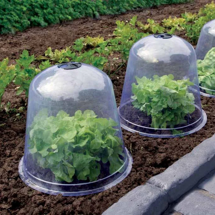 Set van 3 plantenstoplen