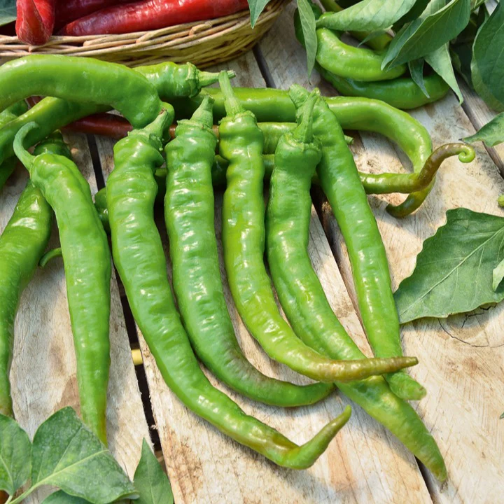 Spaanse peper 'Doux des Landes' - Image 2