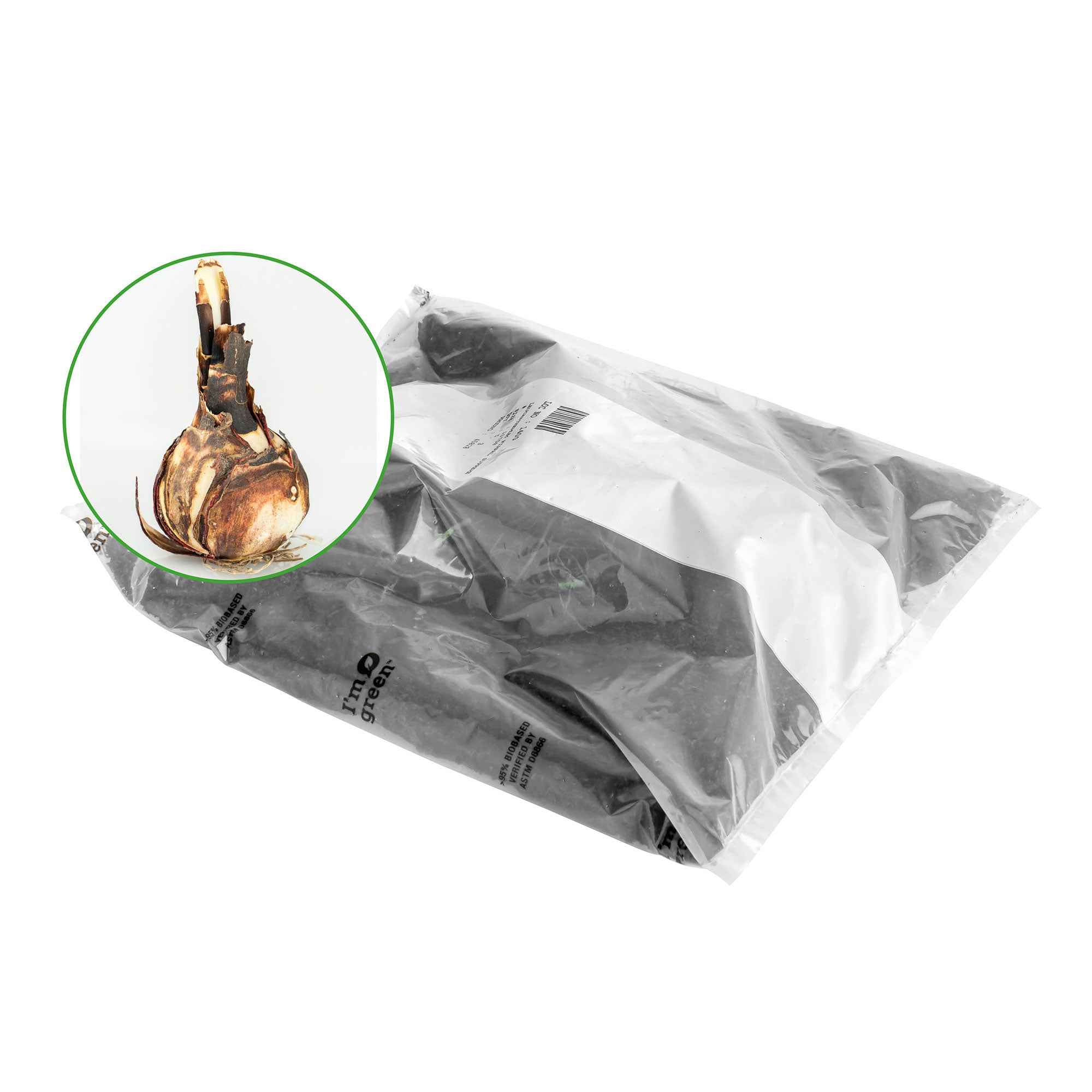 Sprekelia (x2) - Image 3
