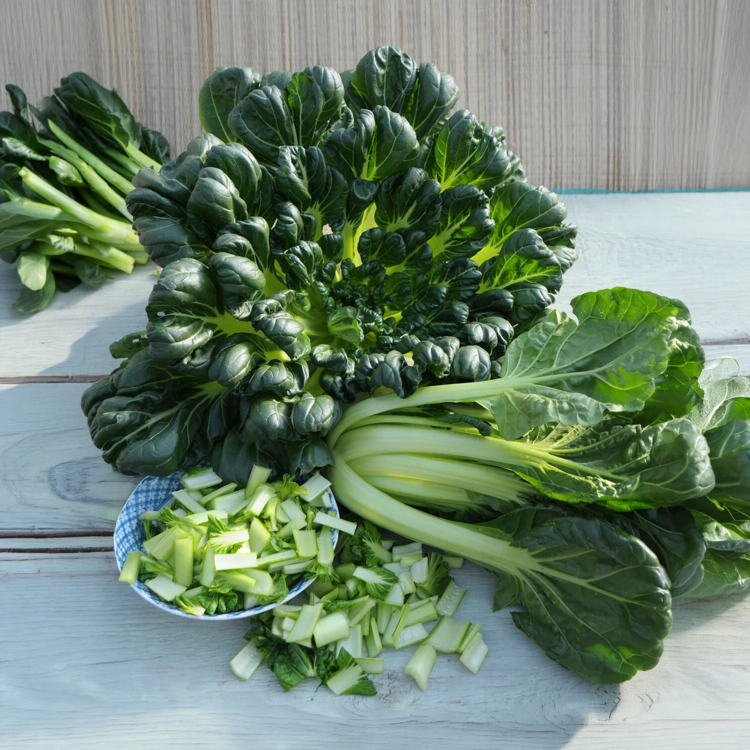 Tatsoi - BIO - Image 5