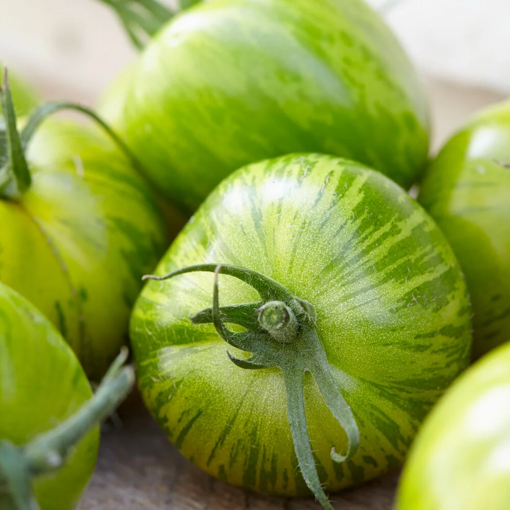 Tomaat 'Green Zebra' zaden - Image 3
