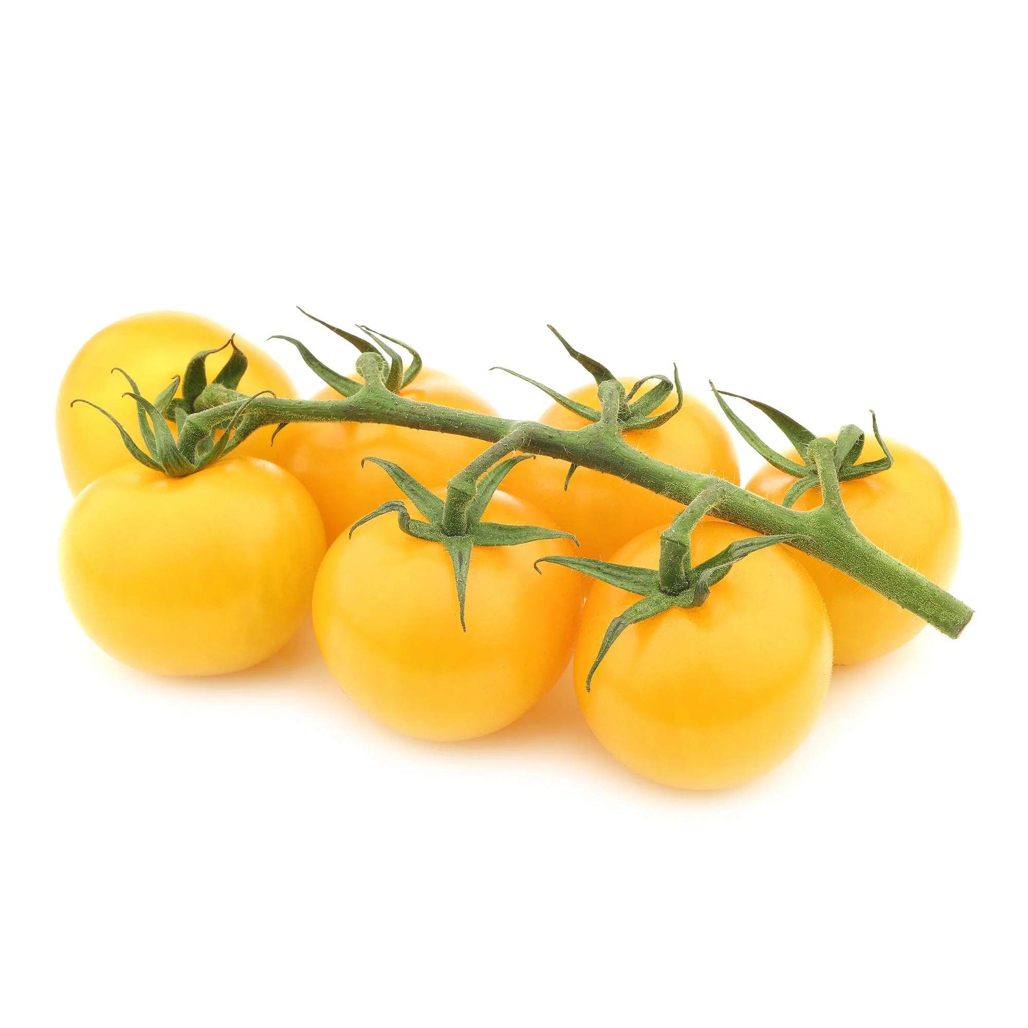 Tomaten pakket Solanum 'Toffe Tomaten' - Groentezaden - Image 3