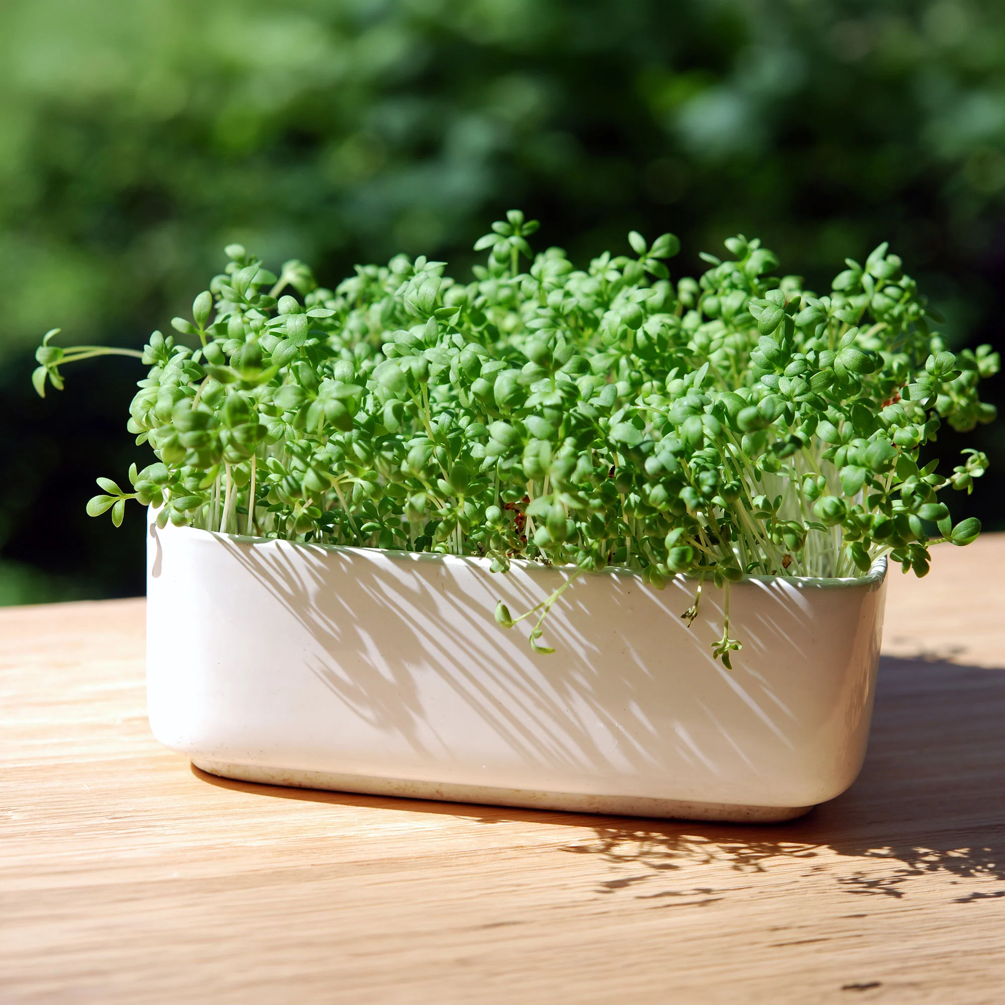 Tuinkers Cresso Bio