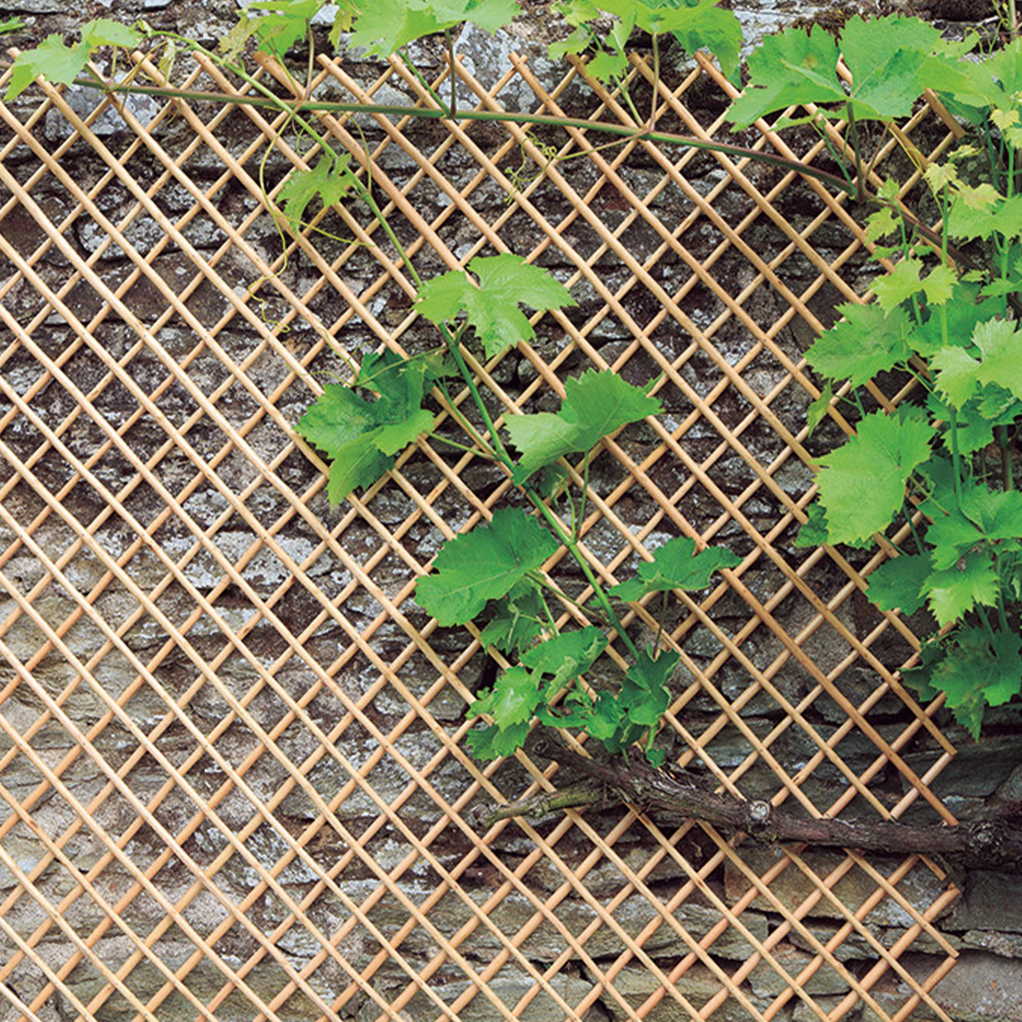 Verlengbare trellis van geschilde natuurlijke wilgentenen