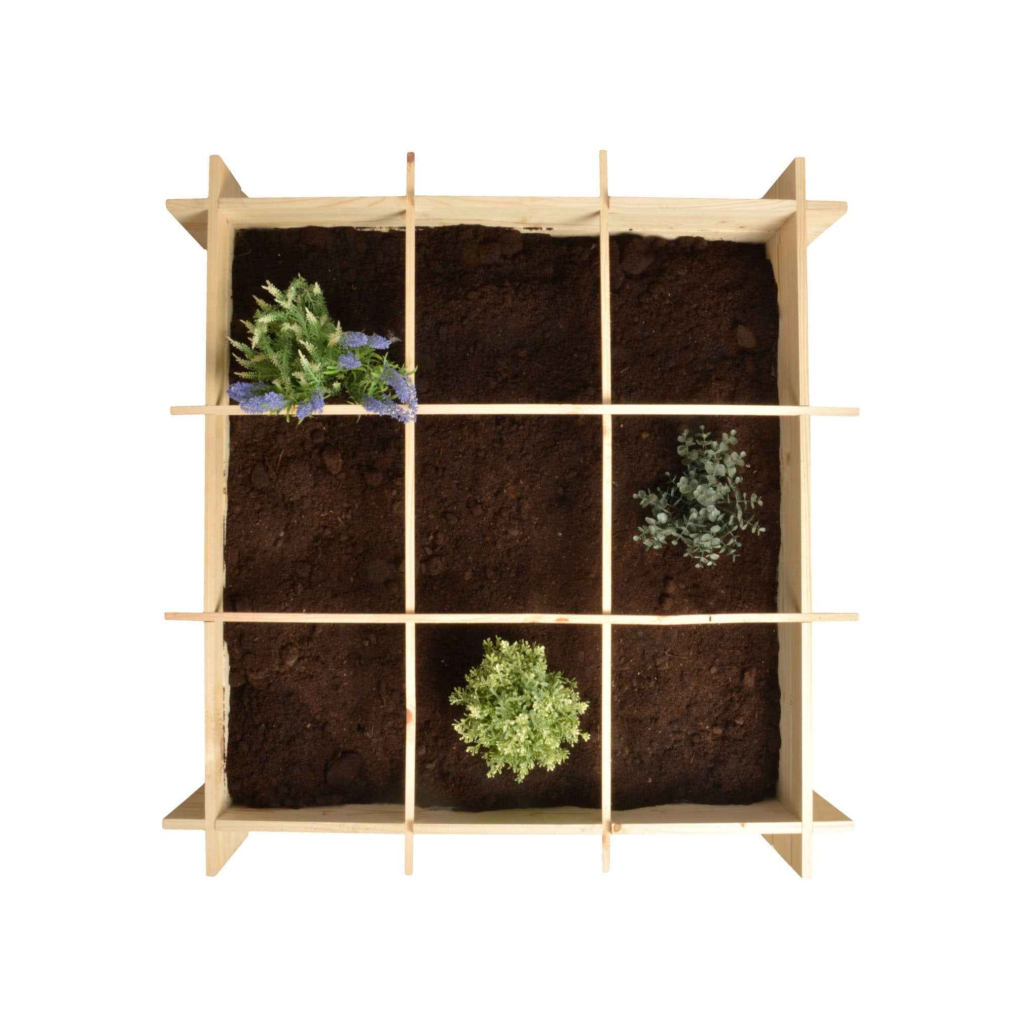 Miniatuur 2