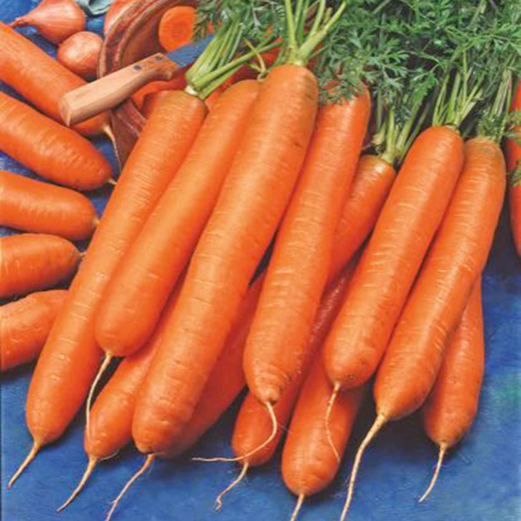 Miniatuur 1