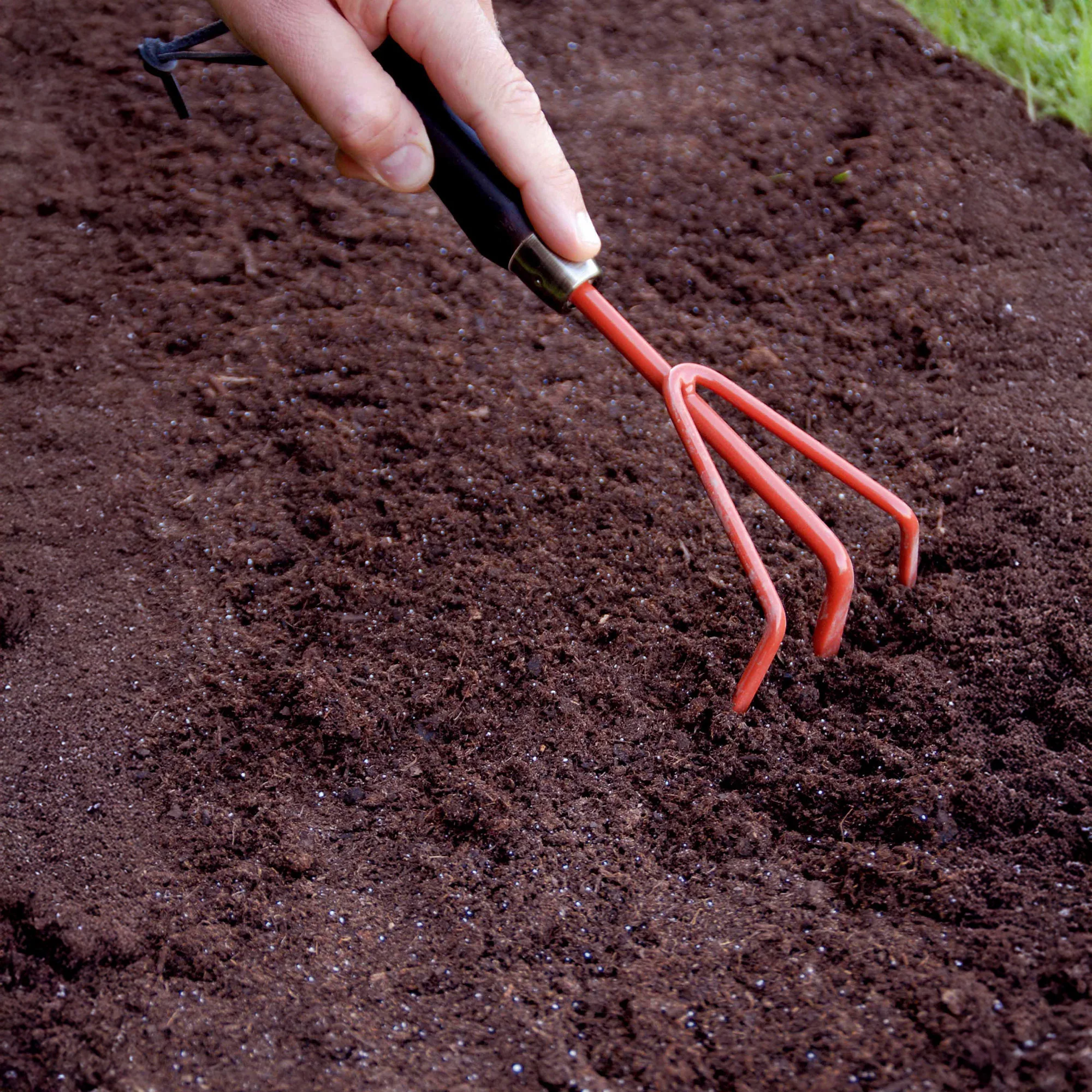 Miniatuur 2