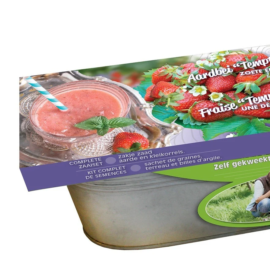 Zinken teil Aardbei Temptation zaden