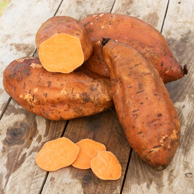 Zoete aardappel - Image 2